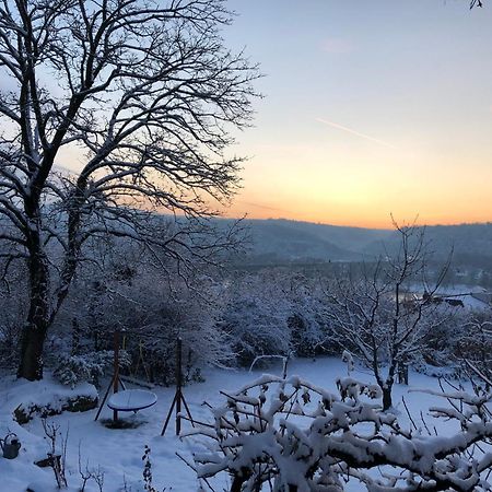 Ueber Den Daechern Von Koblenz - Aussichts-Wohnung Naturpark Rheinblick, Ruhig, Zentrumsnah, Sport-Pool Екстер'єр фото