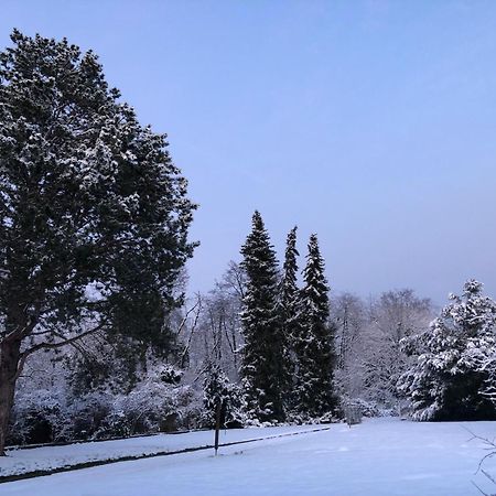 Ueber Den Daechern Von Koblenz - Aussichts-Wohnung Naturpark Rheinblick, Ruhig, Zentrumsnah, Sport-Pool Екстер'єр фото