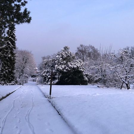 Ueber Den Daechern Von Koblenz - Aussichts-Wohnung Naturpark Rheinblick, Ruhig, Zentrumsnah, Sport-Pool Екстер'єр фото